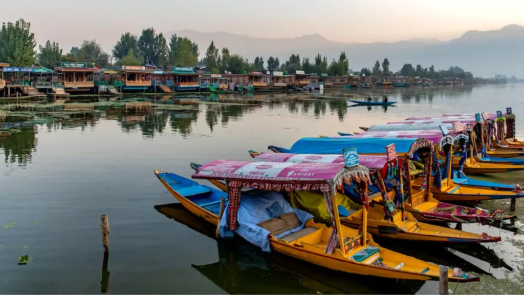 Dal Lake loses its native fish diversity, species count falls from 14 to 8: Survey Dal Lake