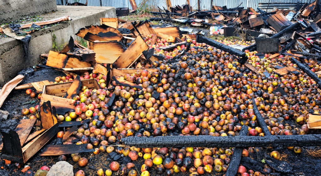 Apple stock goes up in flames in Sopore Apple boxes